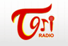 Telugu One